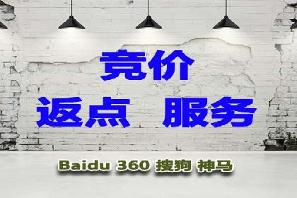 行业领先企业的SEM代理案例剖析